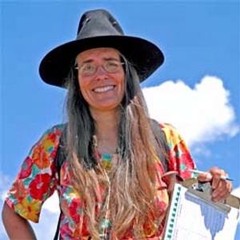 Nature Notes 07/28/13:  Bark Beetles pt. 2