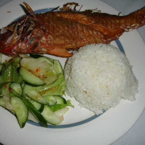 Ⓢⓘⓢⓣⓐⓗ Ⓢⓘⓢⓣⓐⓗ- Ⓢⓣⓘⓛⓛ Ⓞⓕ Ⓣⓗⓔ Ⓝⓘⓖⓗⓣ