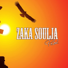 Instrumental - eagle _Composed By (Zaka SouLja Prod)2013
