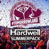 Dimitri Vegas & Like Mike & Moguai vs. Afrojack & Steve Aoki - Mammoth Beef (Heavywavez Mashup)