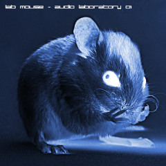 Audio Laboratory 01