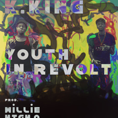 Youth In Revolt [Produced By WiLLiE HiGH O]