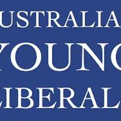 Introducing... Lev Cherkasski