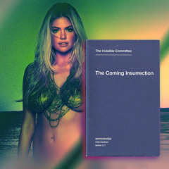 Semiotext(e) Intervention Series Vol II - The Coming Insurrection