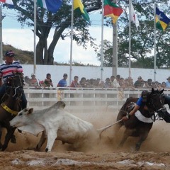 Abílio e toadas