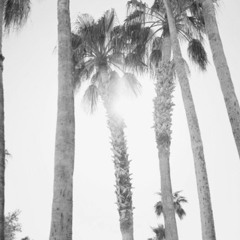 Lana Del Rey - Damn You(Instrumental)