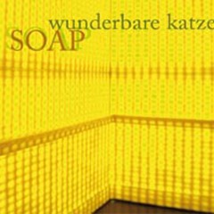 "Soap" (2008) Album Trailer