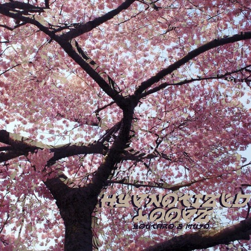 Hypnotized Loopz (ON BANDCAMP)