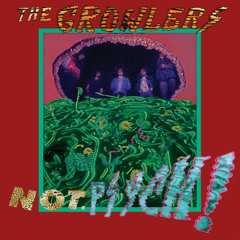 The Growlers - Humdrum Blues
