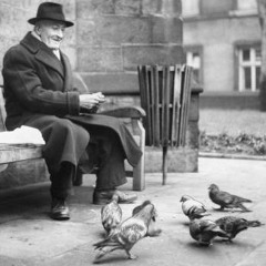 TALKING TO PIGEONS_ BY BREAKDLAW ORIGINAL