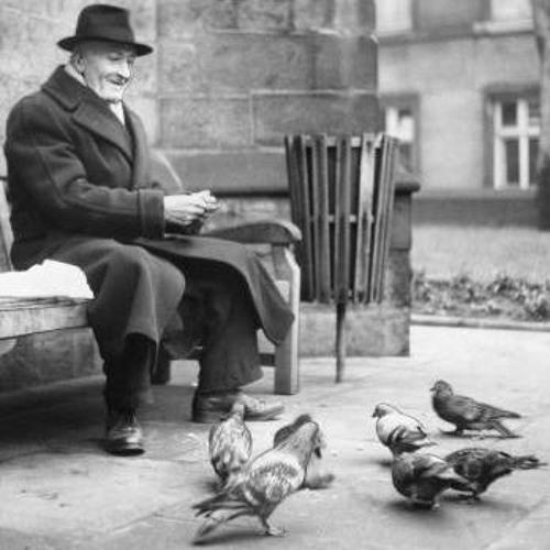 TALKING TO PIGEONS_ BY BREAKDLAW ORIGINAL