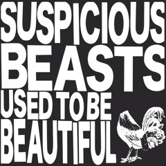 SUSPICIOUS BEASTS - Pretty Horse