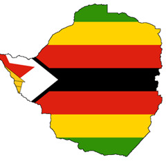 Zimbabwe Elections Prank