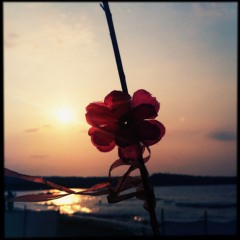 Wanderlust - Peninsula Road - Original Mix