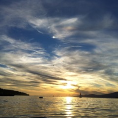 Summer Sunshine