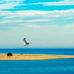 Ode To My Guitar (stereo Trip)