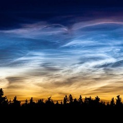 Side Brain - We Be Loved