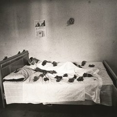 Animas Transmission (Two)