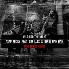 A$AP ROCKY- WILD FOR THE NIGHT (DOG BLOOD REMIX)