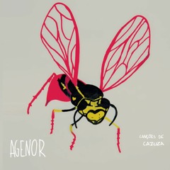 17. Blues Do Iniciante - MOMO