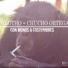 Pylotho + Chucho Ortega - Con Monos & Costumbres