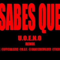 T.S.Q.N (tu sabes que no)(u.o.e.n.o rmx)