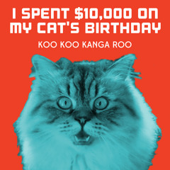 I Spent $10,000 On My Cat's Birthday