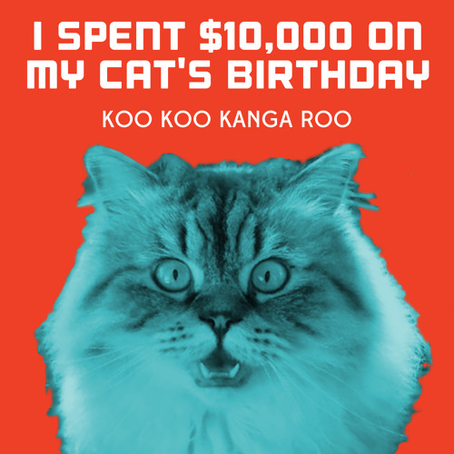 I Spent $10,000 On My Cat's Birthday
