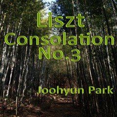 Liszt: Consolation No.3 in D-Flat Major, S. 172