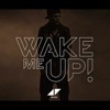 Wake Me Up - Avicii (Short Cover)