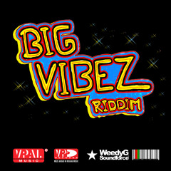 VA Big Vibez Riddim 2013 | Busy Signal, Assassin, Perfect, and more [Weedy G Soundforce]