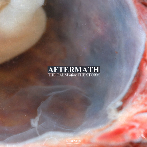 11. Aftermath