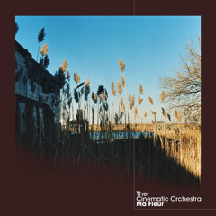 VinSal - To Build a Home (Cinematic Orchestra Cover)