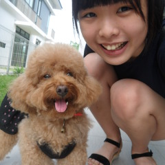 原來你就在我身邊+2聲炮聲 哈哈哈