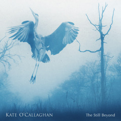Painted Lady - Kate O'Callaghan