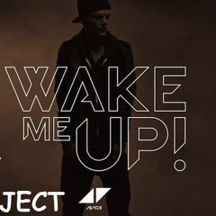 Avicii - Wake Me Up (Cat Project Remix) [PREVIEW]