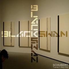 Schubert - Falsify (Part I) [Download]