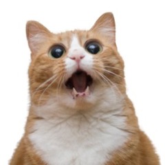 Cypherpunks coaster / Crypto P (not finished)