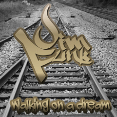 Muse - Walking On A Dream (Jim Funk Remix)