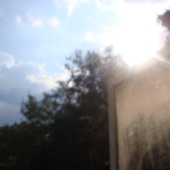 pfaffenberg. shadowplay.