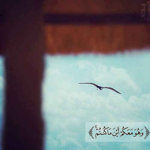 لا إله إلا الله .. نبدء بإسم الجلالة ..