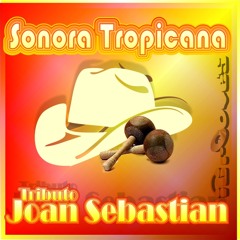 Sonora Tropicana - Tributo A Joan Sebastian (iGroove'S Tropicasa Minimix)