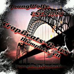 Im Icey (Prod. By YoungWolfe)