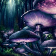 Magic Shrooms