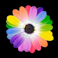 Sebut Saja Namanya Bunga - Solo Guitar by Michael Gunadi Widjaja