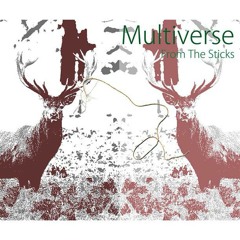 Multiverse