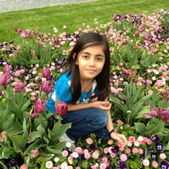 أنشودة أمي حياتي وجنتي لمحمد العمري