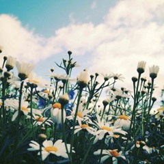 أغيب و ذو اللطائف لا يغيب .. ؛؛ مشاري العفاسي