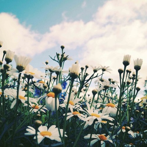 أغيب و ذو اللطائف لا يغيب .. ؛؛ مشاري العفاسي