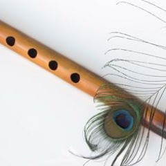 Vaishnavo Janato : An experiment